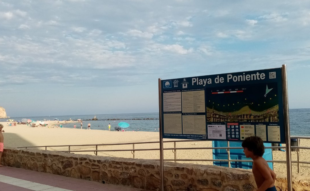 Playa De Poniente景点图片