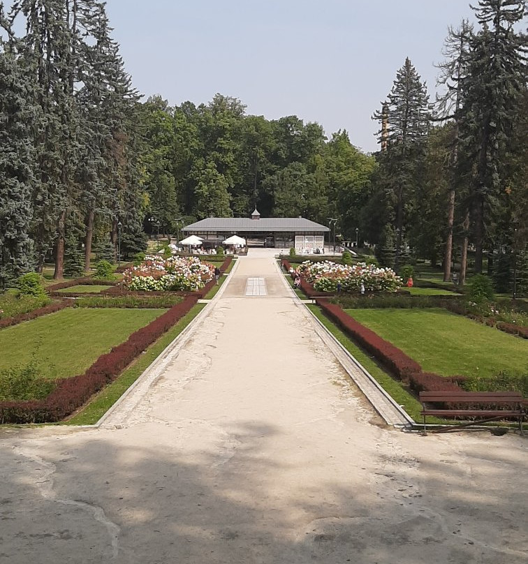 Chess Park景点图片