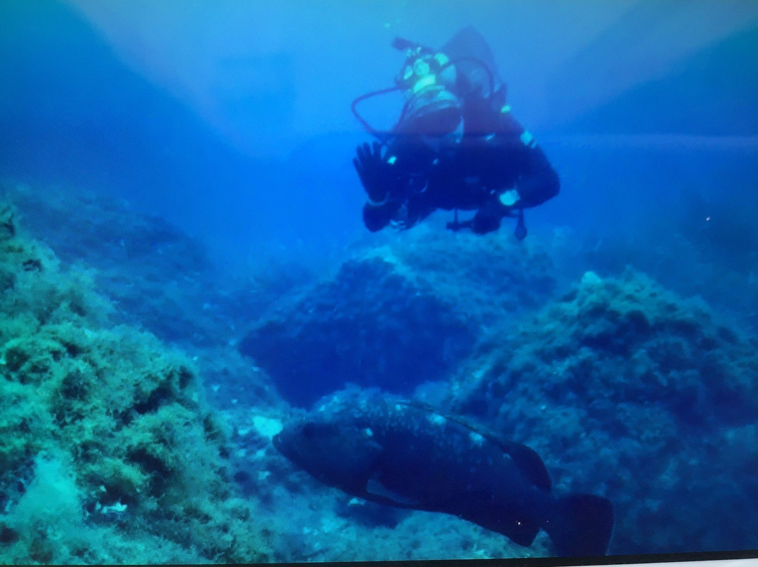 Diving World Ventotene-Ventotene必去景点