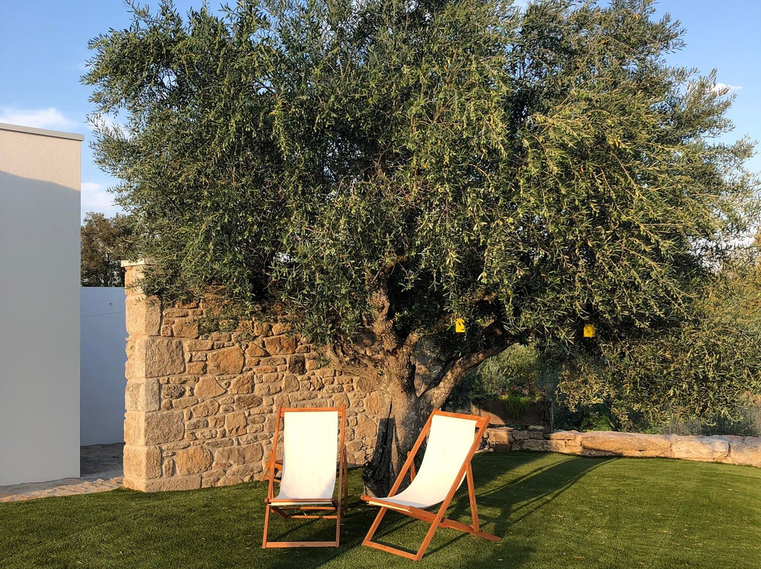 Puial de l Douro主图