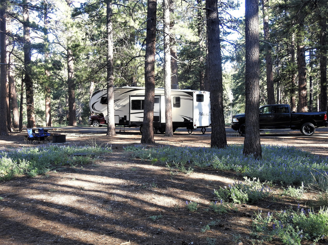 North Rim Campground主图