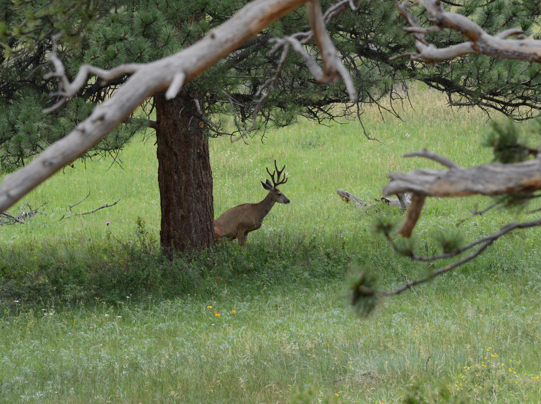 Beaver Meadows Visitor Center-落基山国家公园必去景点