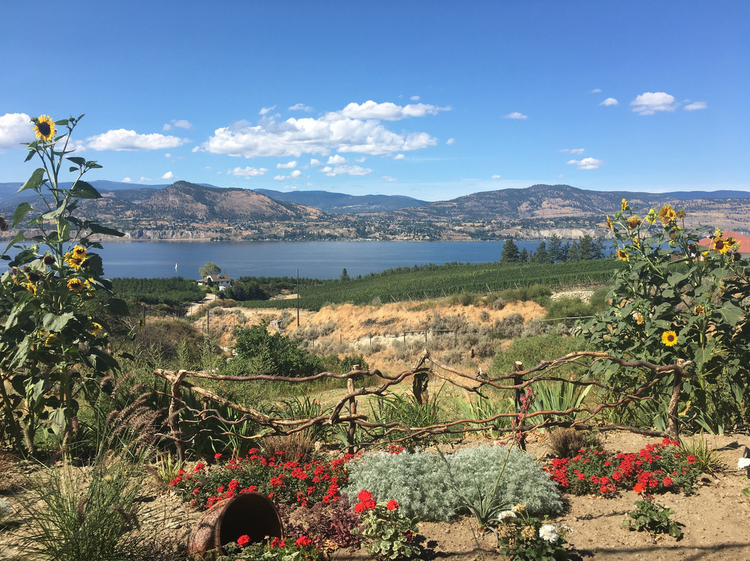 Sutherland Blueberry Bed & Breakfast主图