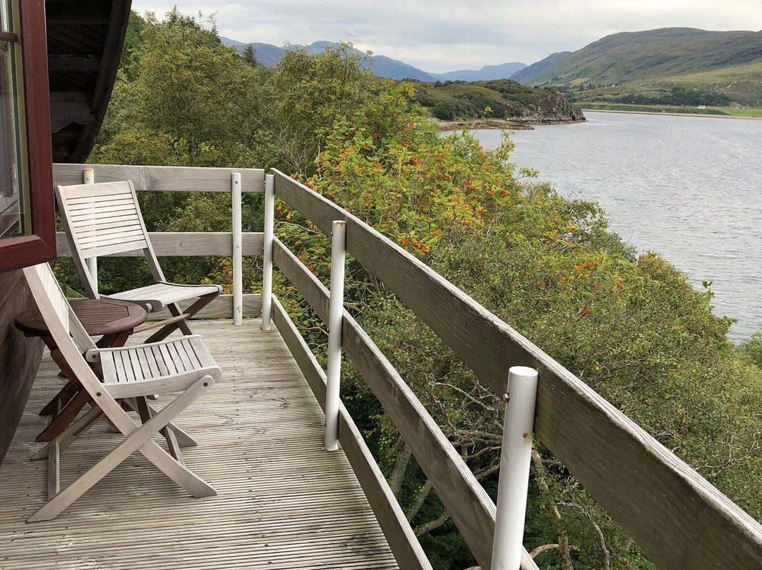 Tanglewood House主图