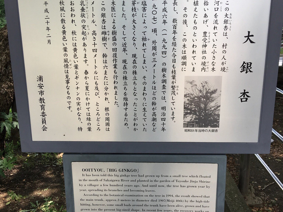 Toyoke Shrine-浦安市必去景点