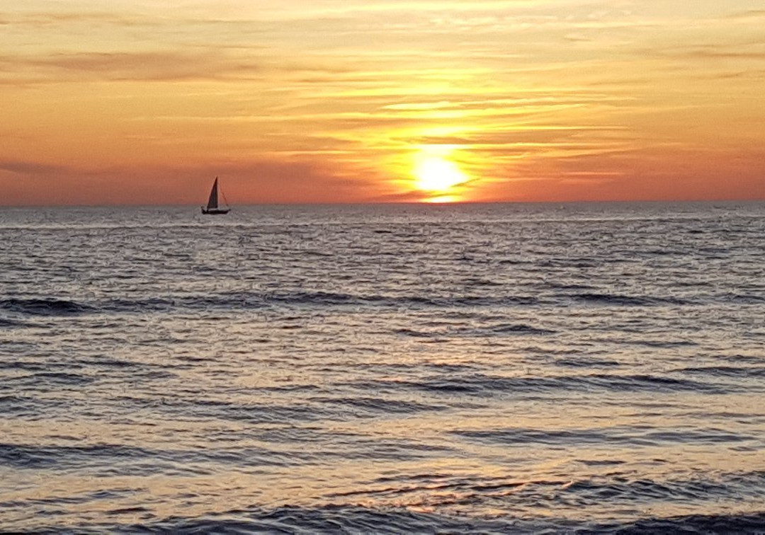 Plage de la Terrière景点图片