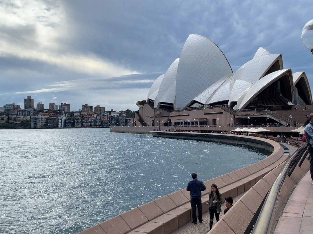 悉尼歌剧院景点图片