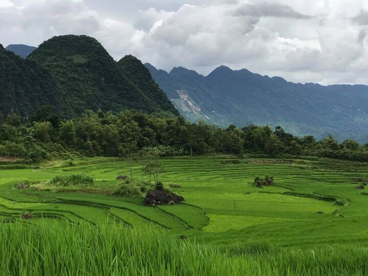 The Halong Travel景点图片