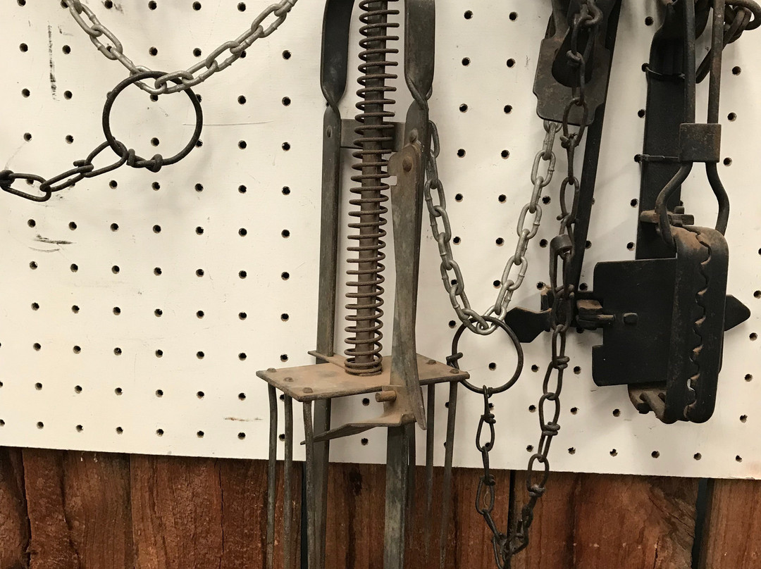 Robinvale Rural Life Museum-Robinvale必去景点