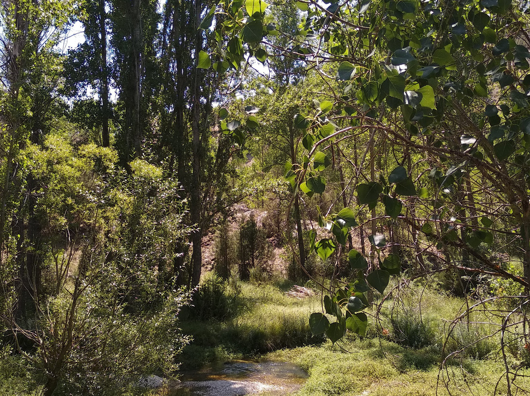 Monumento Natural De La Fuentona-Calatanazor必去景点
