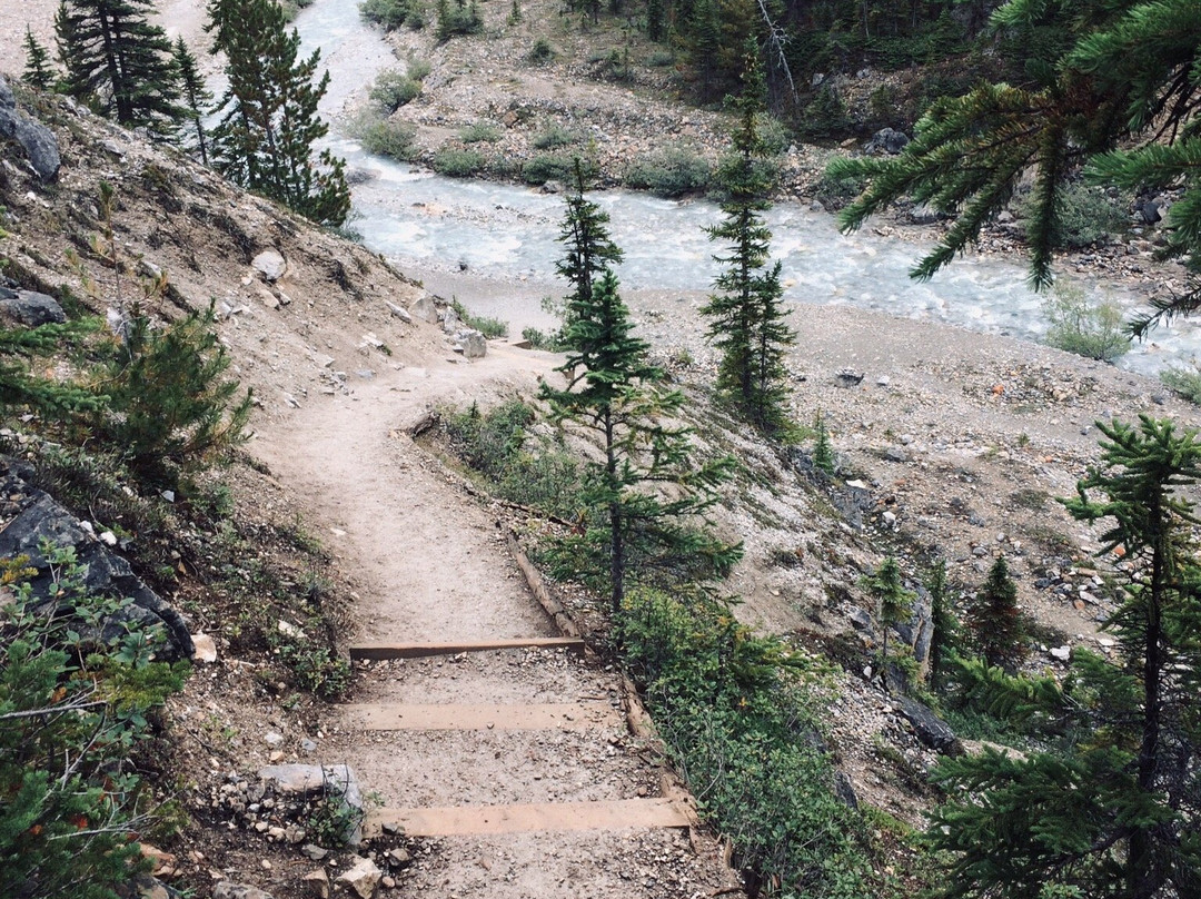 Bow Glacier Falls Trail景点图片