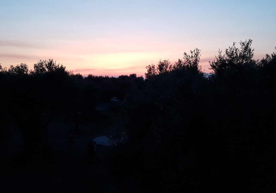 La Piana degli Ulivi主图