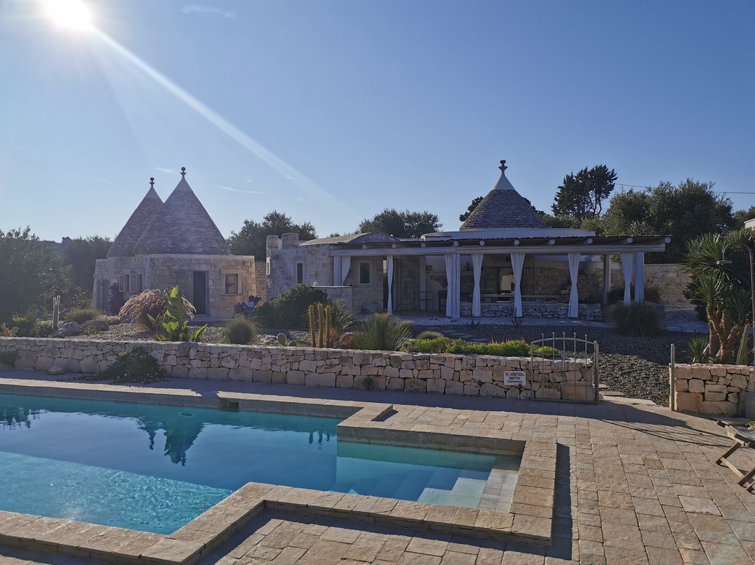 Regina di Ulivi主图