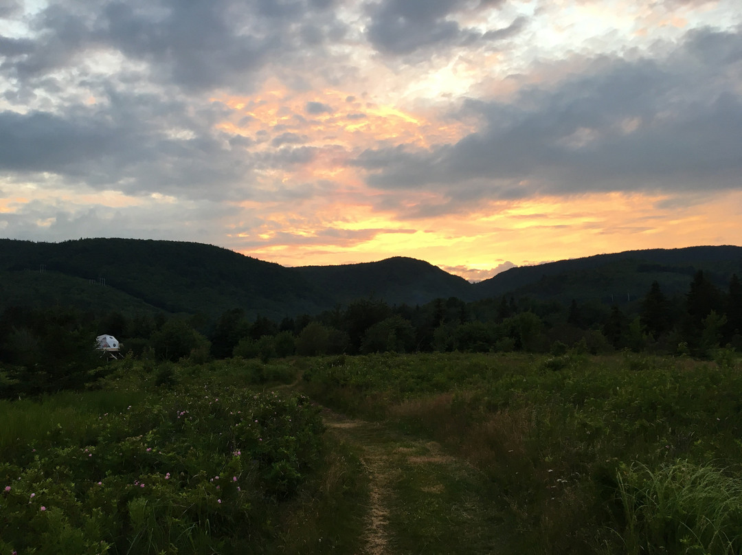 卡博特岸畔旅舍主图