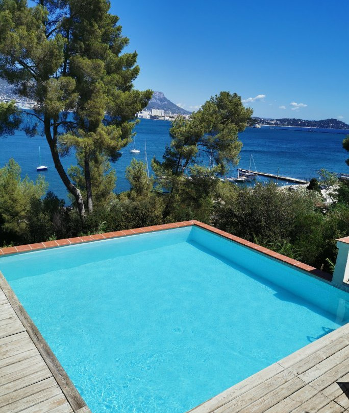 Amadeus Guest House主图