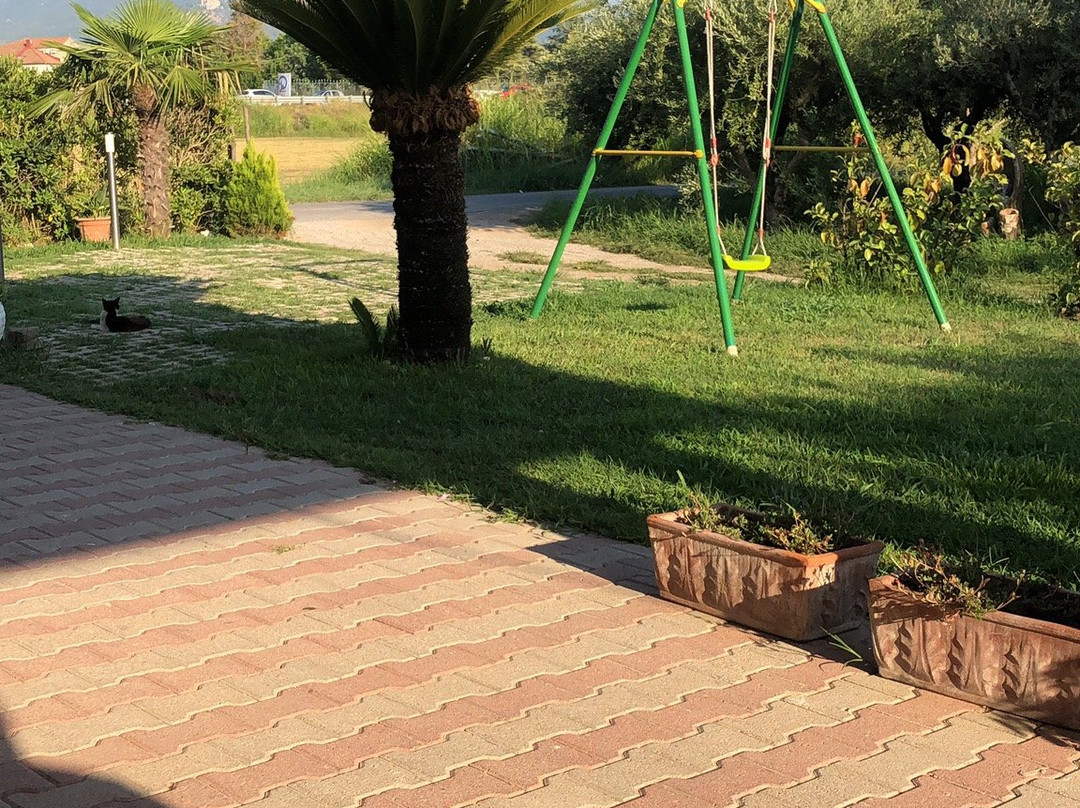 A Casa Della Nonna主图