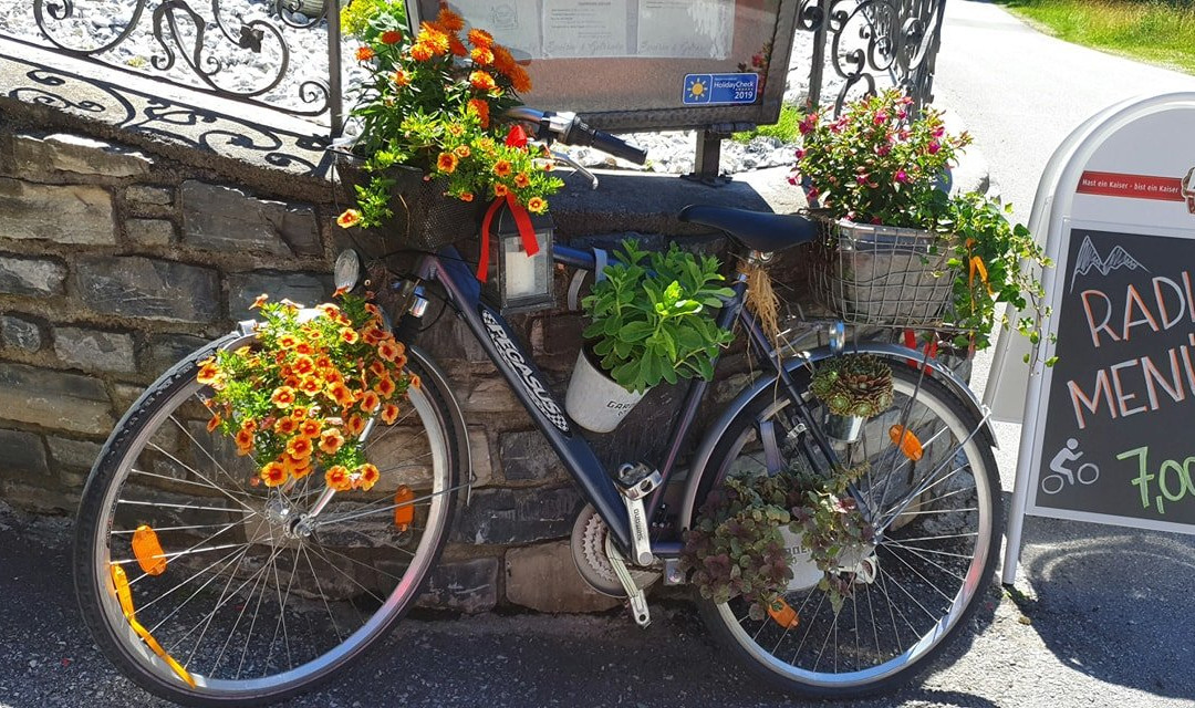 Hotel Gasthof Klammstein主图