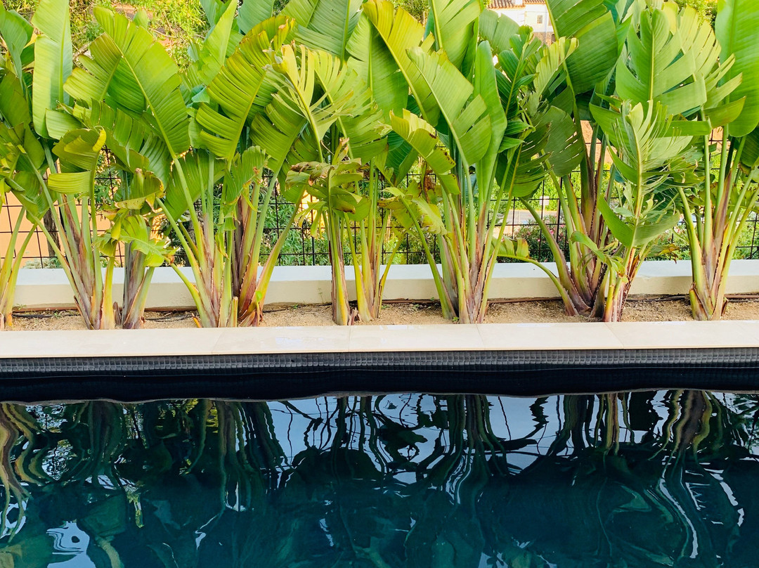 Alta House Begur主图