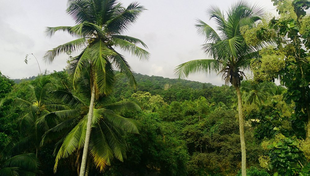 Grindlays Regency (Pvt)ltd主图