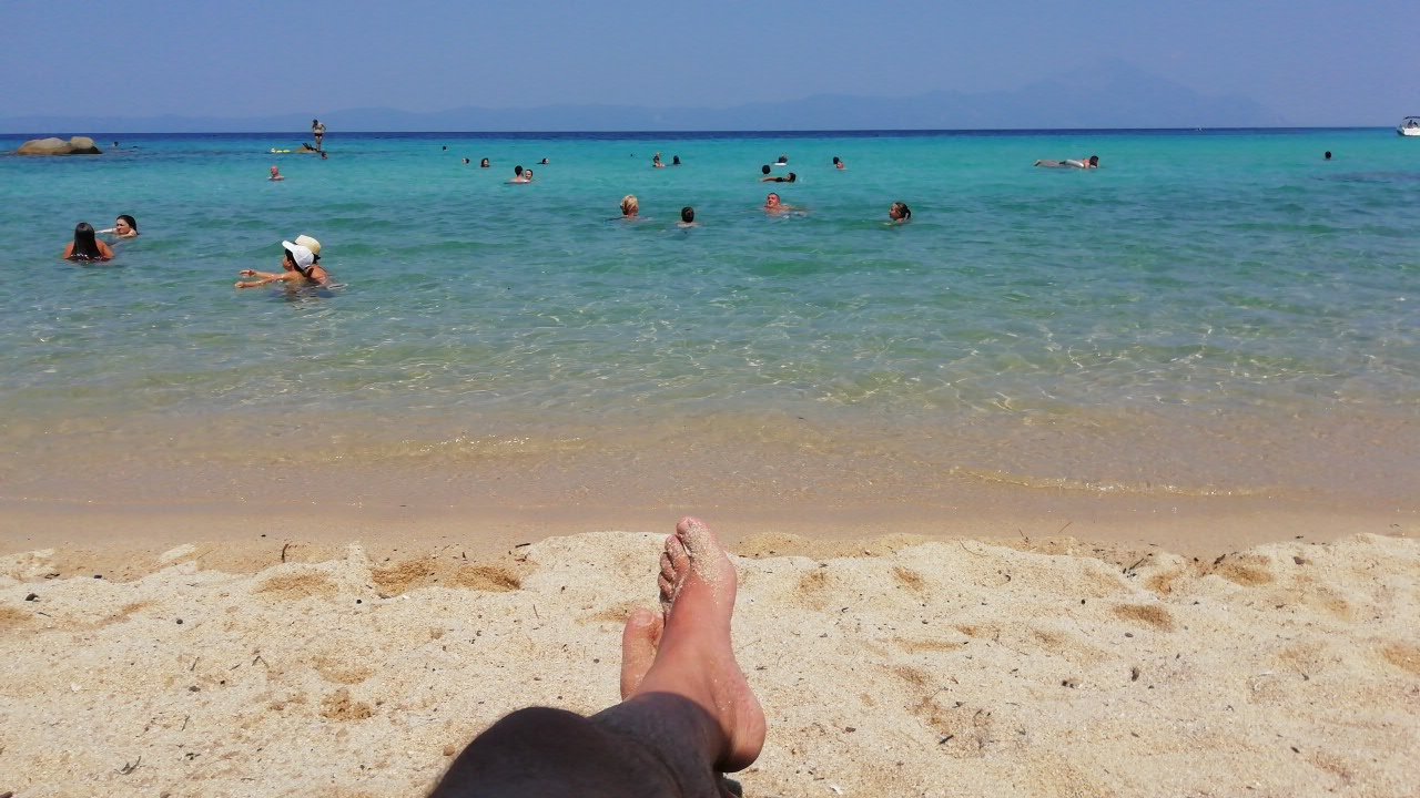 Sarti Paradise-官方