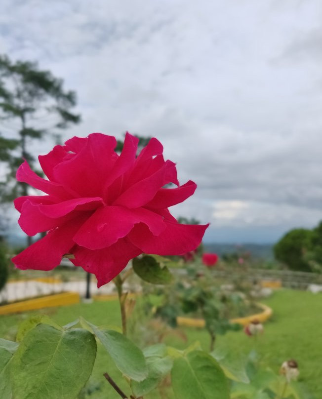 Khao kho memorial景点图片