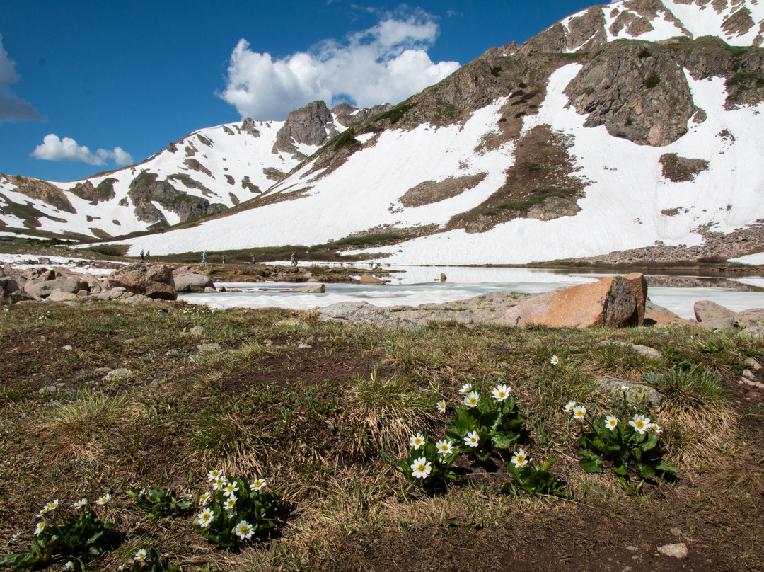 Herman Gulch Trail-迪龙必去景点