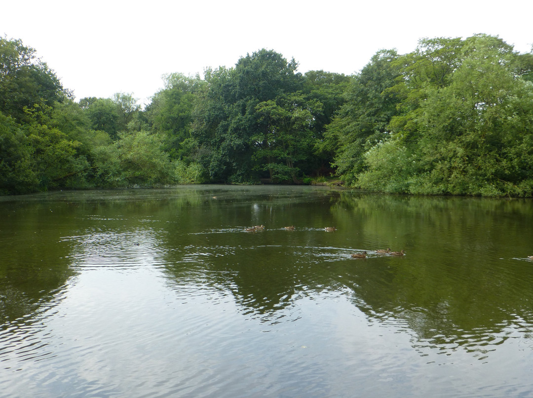 Sherdley Park-圣海伦斯必去景点