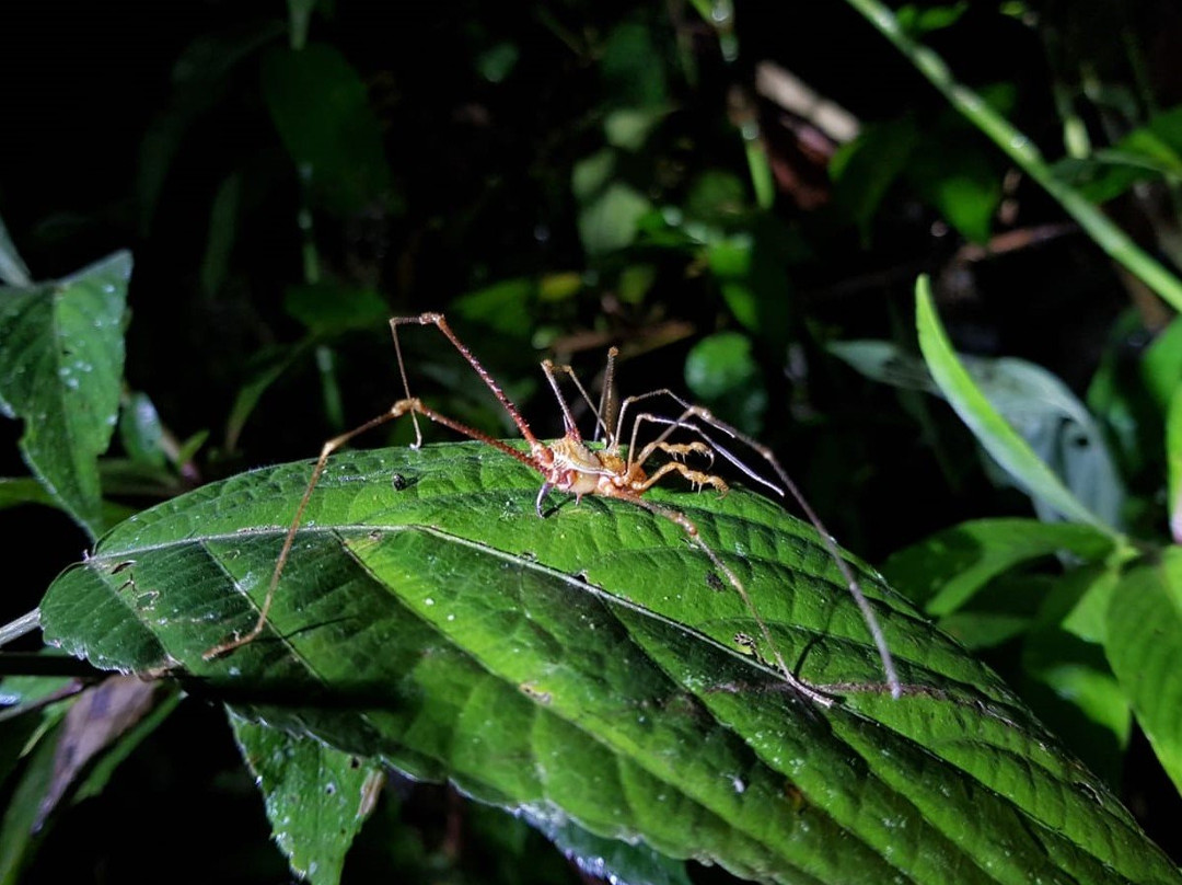 Mindo Biking-明多必去景点