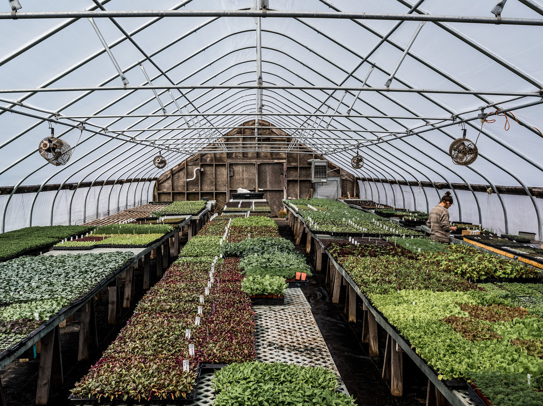 Hawthorne Valley Farm-Ghent必去景点