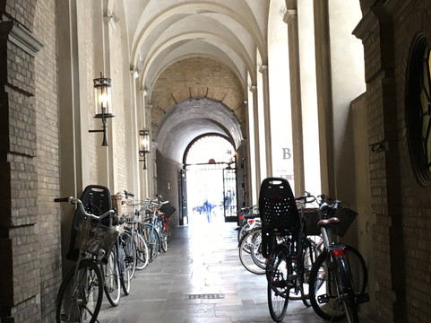 Red Badge Guides - Private and Public Guided Tours-哥本哈根必去景点