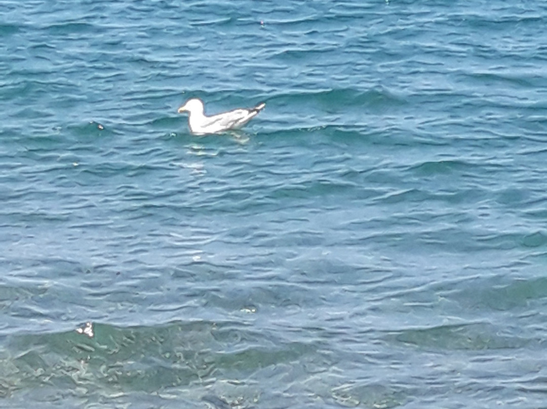 Acquarius Hotel主图