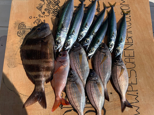 Red Tide Charter-巴努斯港必去景点