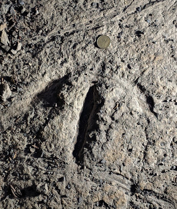 Tumbler Ridge Museum-Tumbler Ridge必去景点