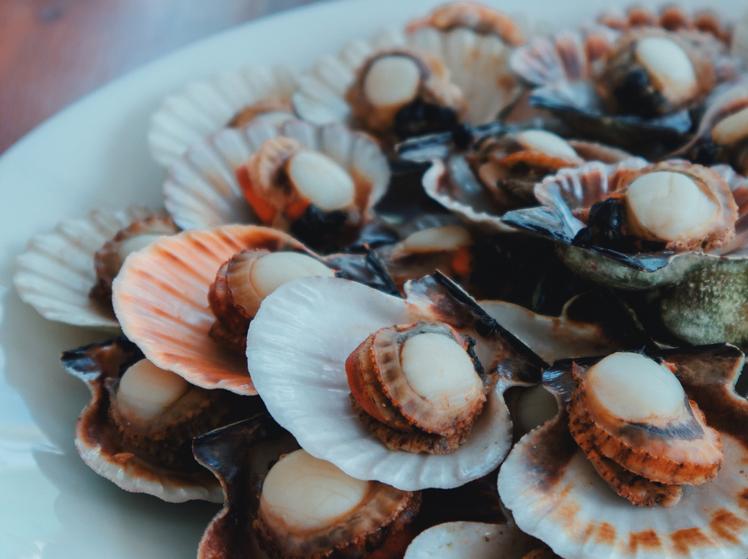 New Beach Head Resort主图