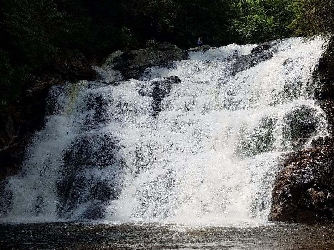 Laurel Fork Falls景点图片