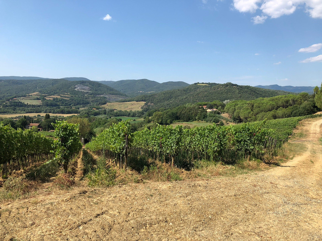 Le Colline di Sopra景点图片