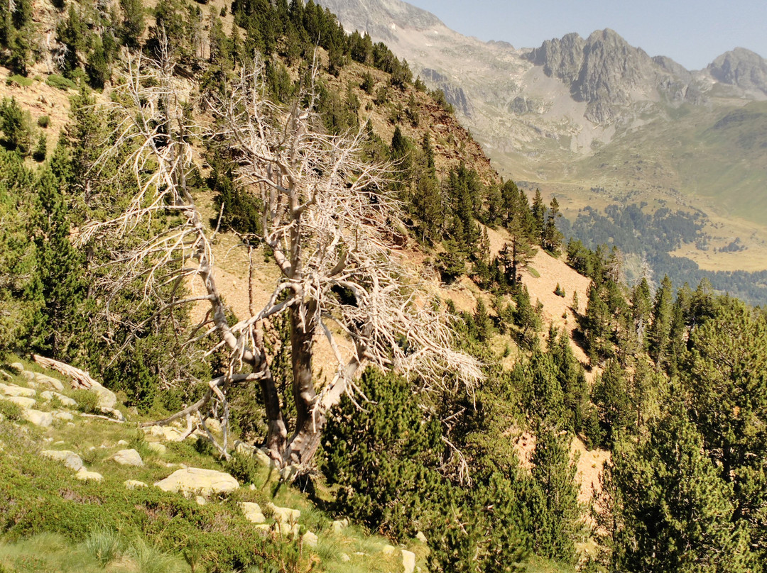 Ibon Gran de Batisielles-Benasque必去景点
