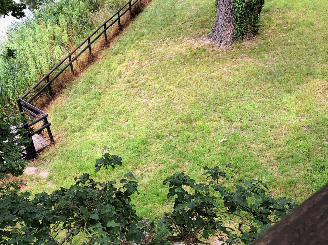 Fox and Hounds Country Hotel主图