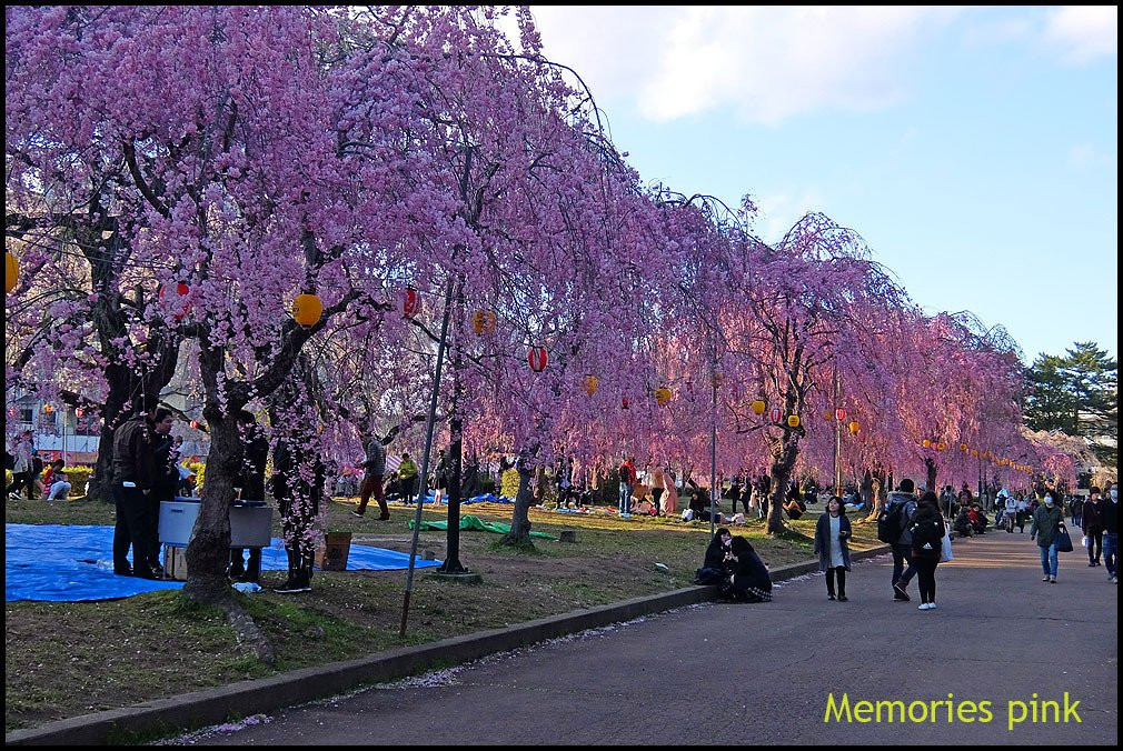 Tsutsujigaoka Park-仙台市必去景点