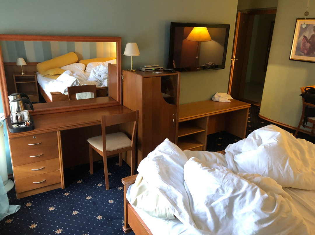 Hotel Villa Conti主图