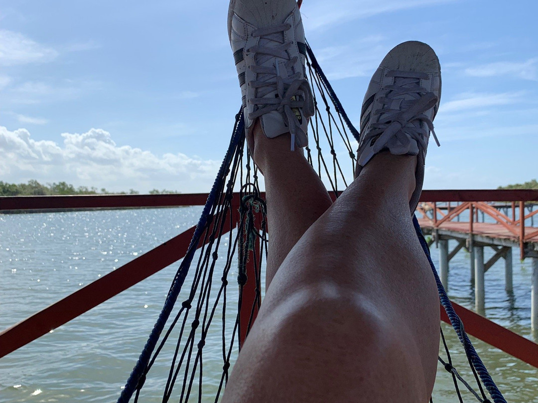 Mangrove Forest Batukaras-庞岸达兰必去景点