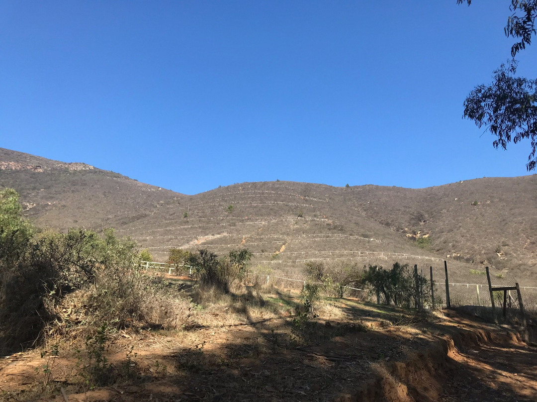 Parque Urbano Natural La Ligua-La Ligua必去景点