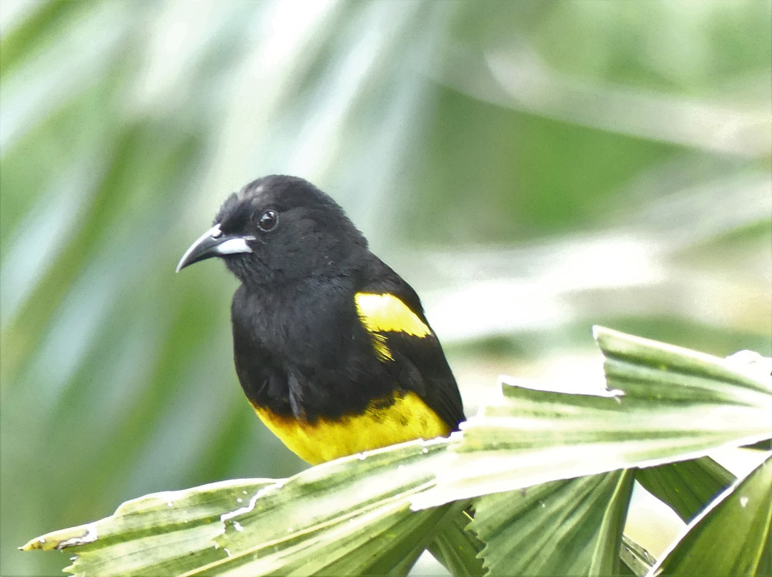 Hotel Boutique Villa Toscana主图