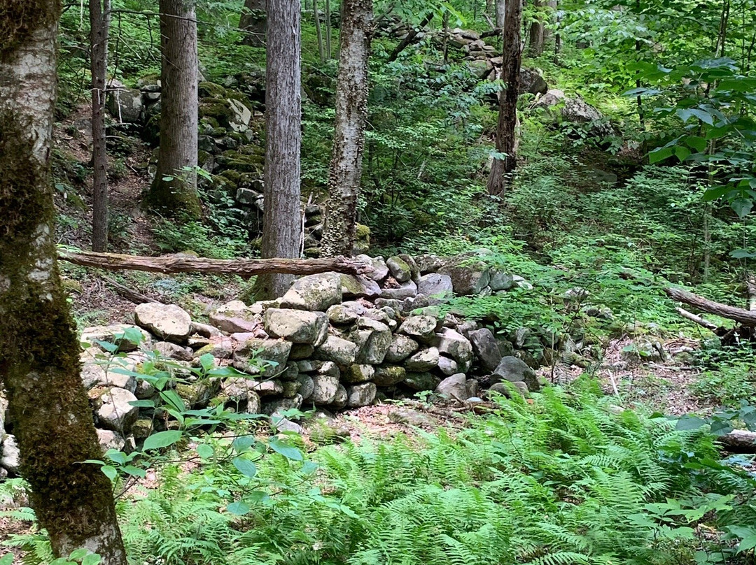 Porters Creek Trail-大雾山国家公园必去景点