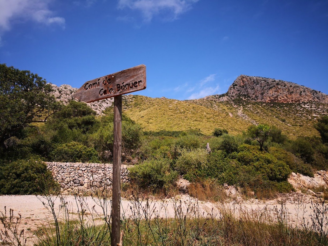 Cala Boquer-Pollenca必去景点