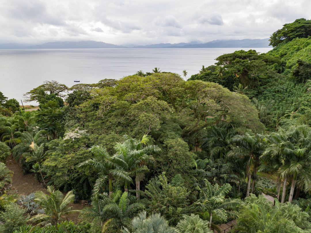 Flora Tropica Gardens-萨武萨武必去景点