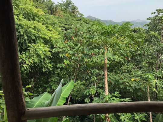 Sol De Minca Reserva Natural主图