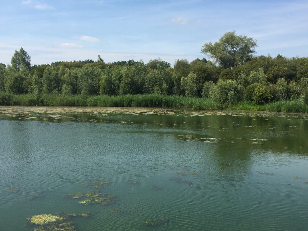 Hensies旅游攻略图片