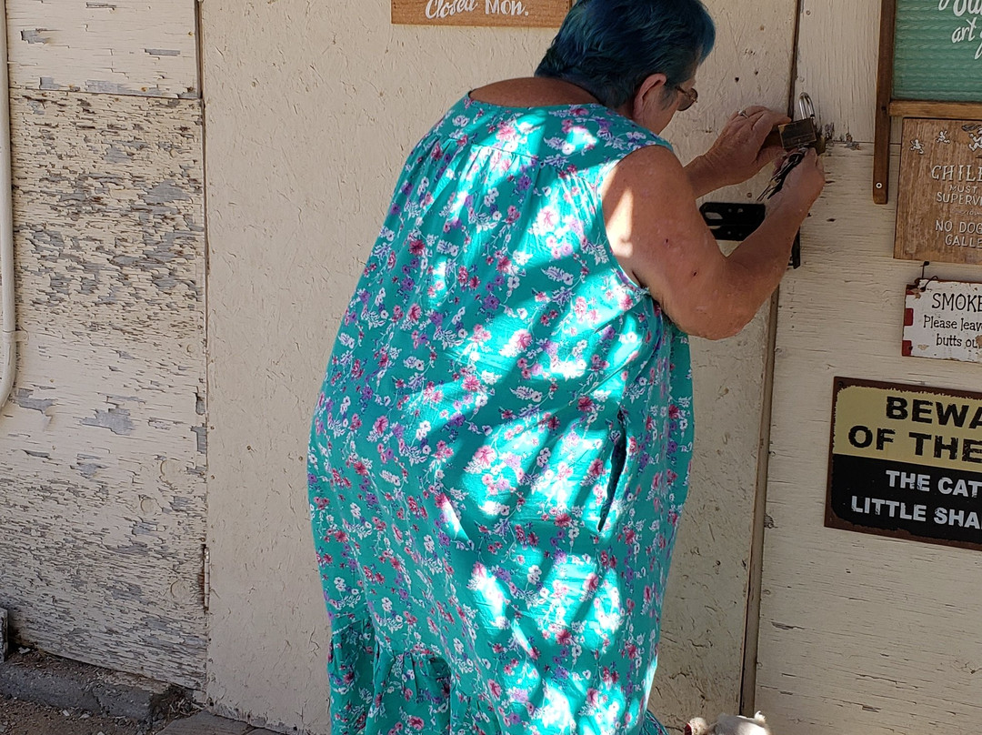 The Glass Outhouse Art Gallery-二十九棕榈村必去景点