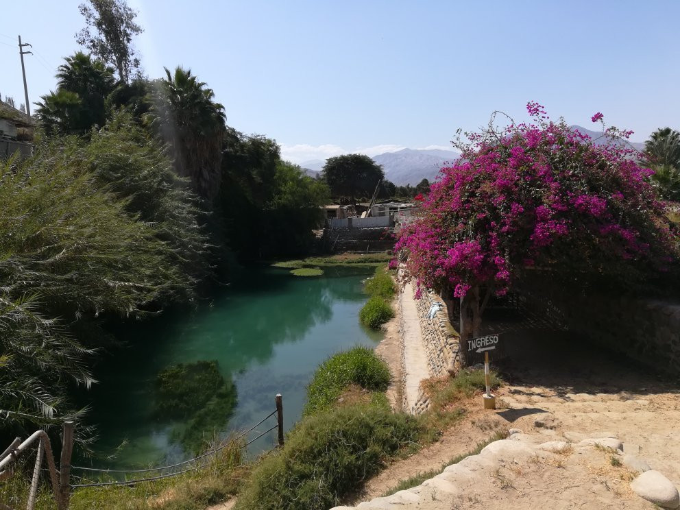 Mantantial La Maquina Palpa主图